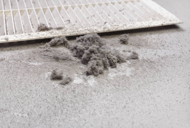 Best Ventilation Cleaning Services  in Friend, NE